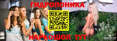 крисы Апрелевка